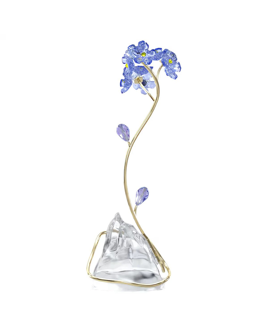 Florere Forget-me-not 5666971