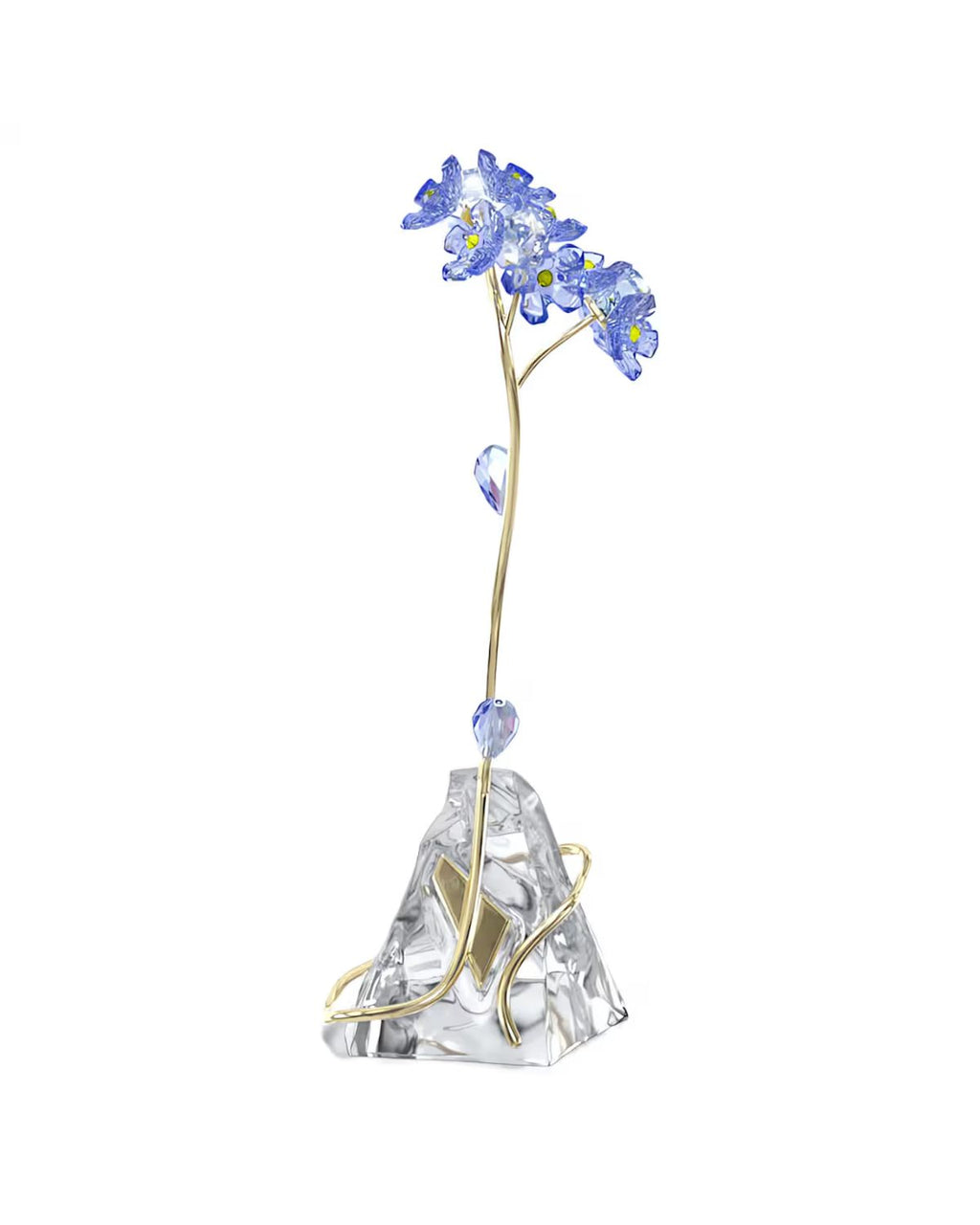 Florere Forget-me-not 5666971