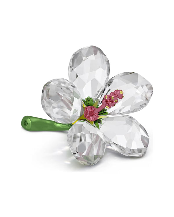 Florere Hibiscus Small