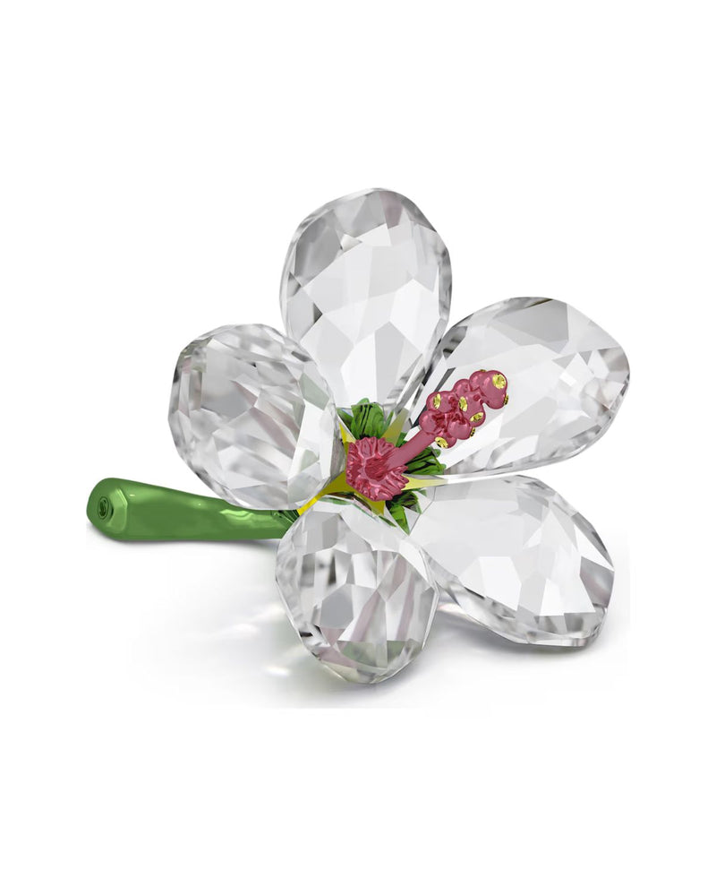 Florere Hibiscus Small