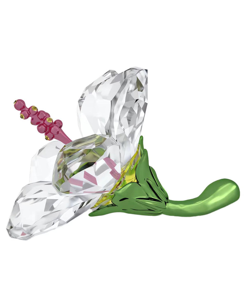 Florere Hibiscus Small