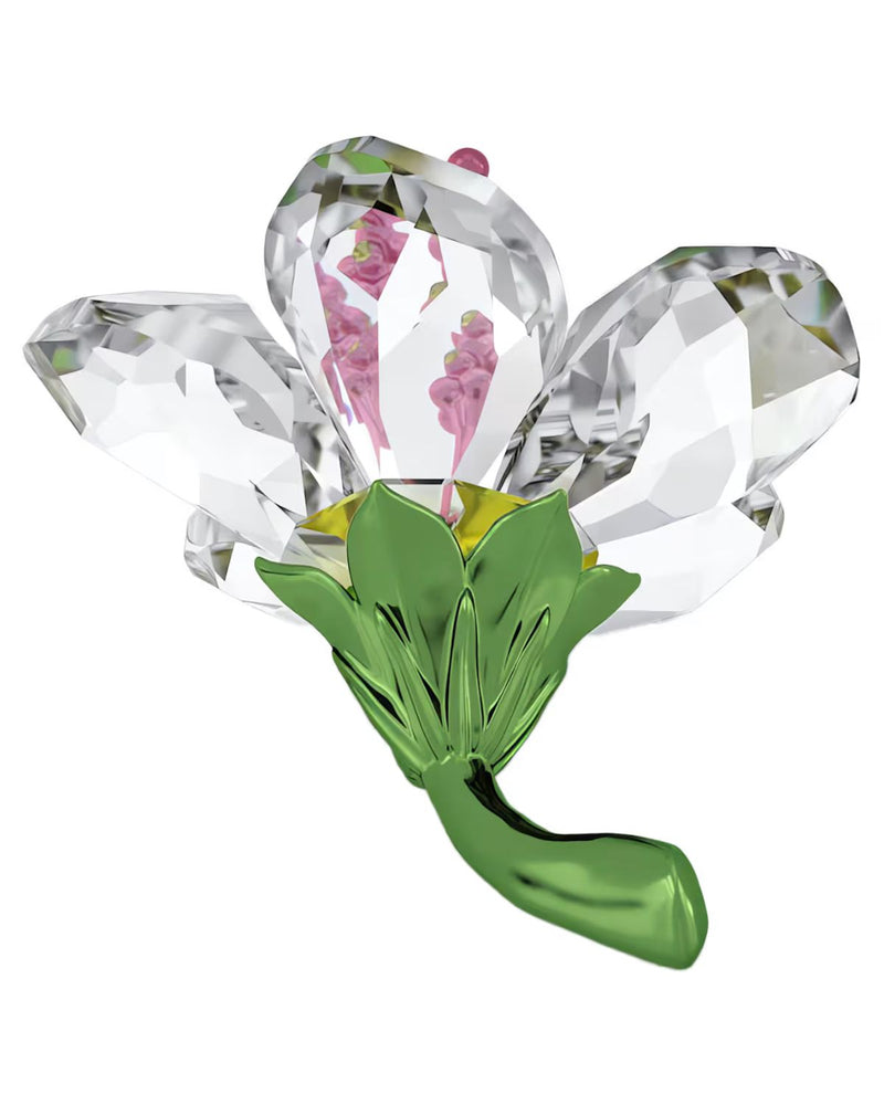 Florere Hibiscus Small