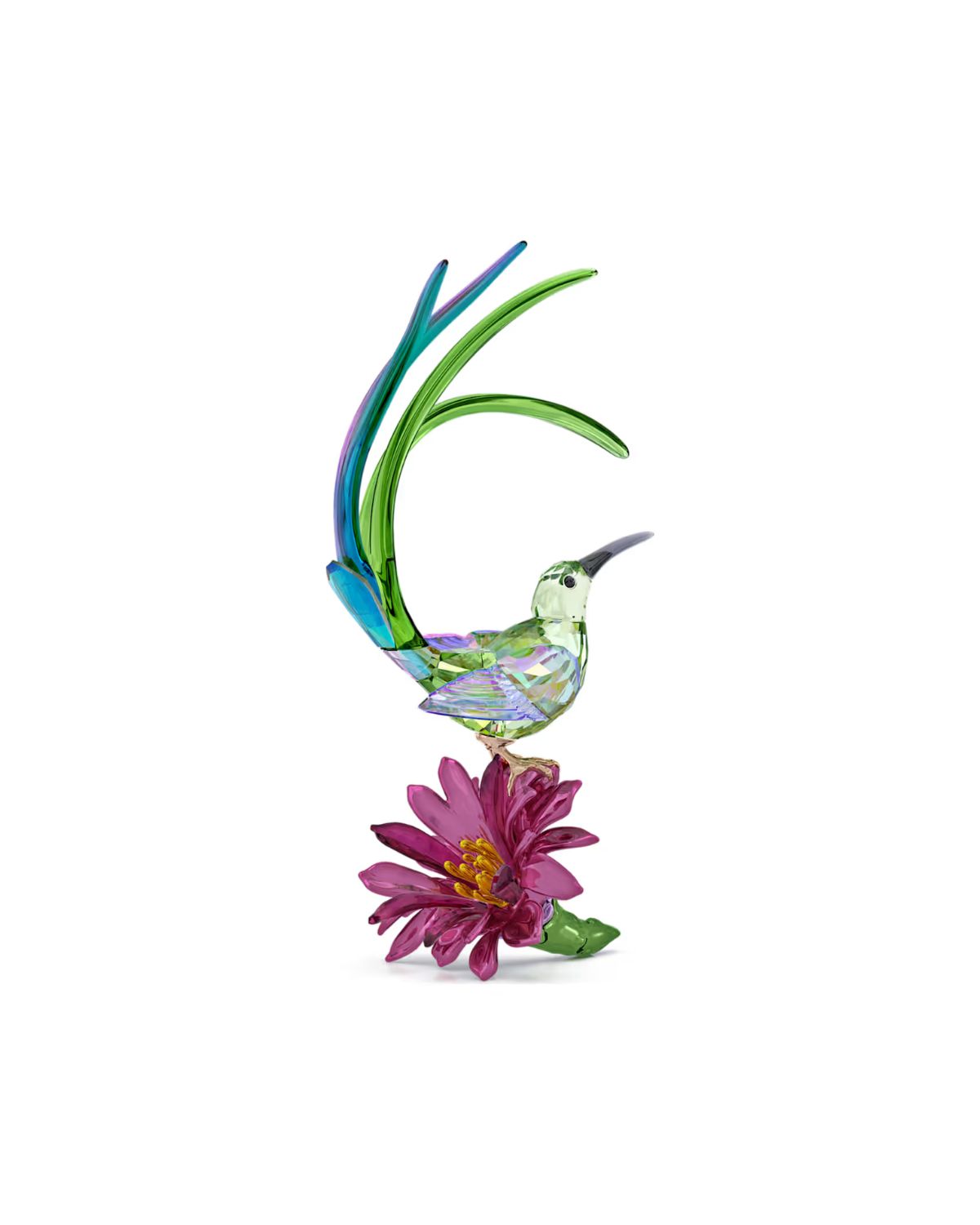 Idyllia Sugarbird and Cactus Flower 5675166