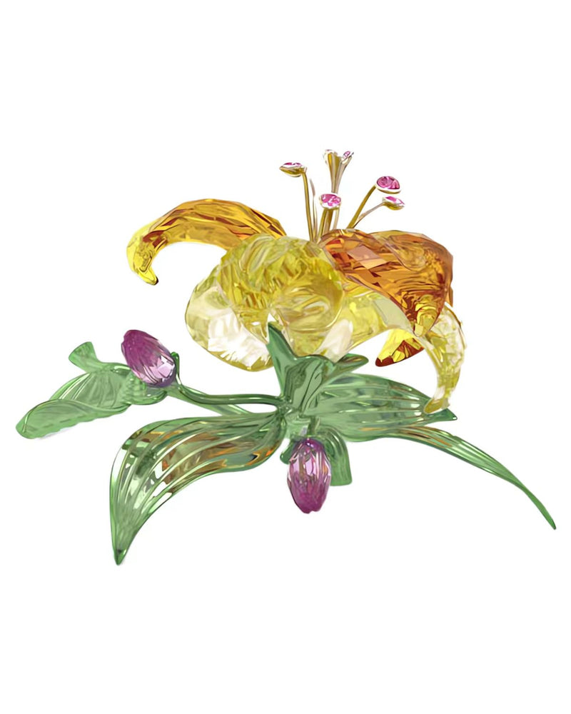 Florere Lily, Large