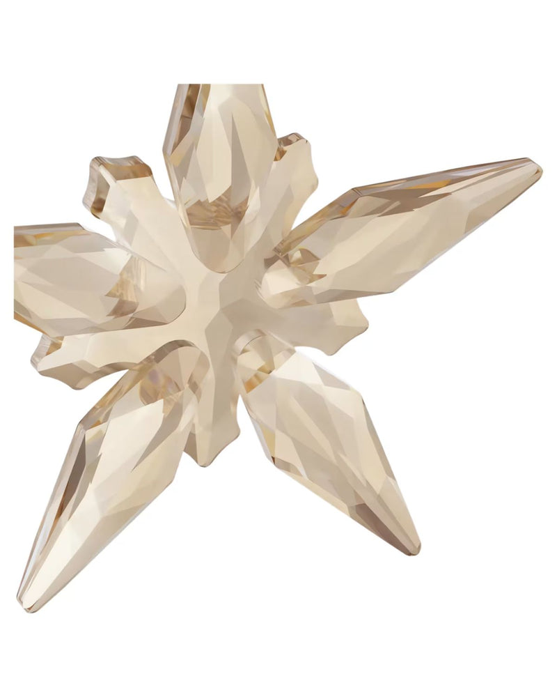 ANNUAL EDITION:ORNAMENT FESTIVE 2025 5701826