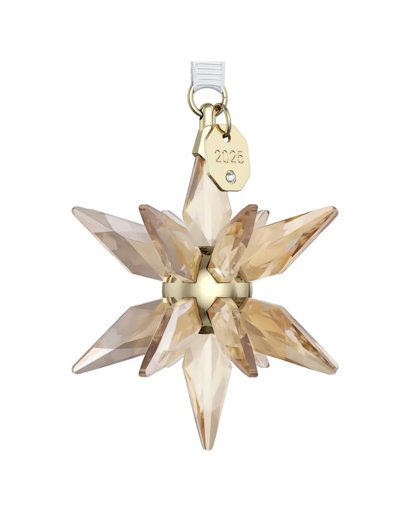 ANNUAL EDITION:ORNAMENT FESTIVE 3D 2025 5701505