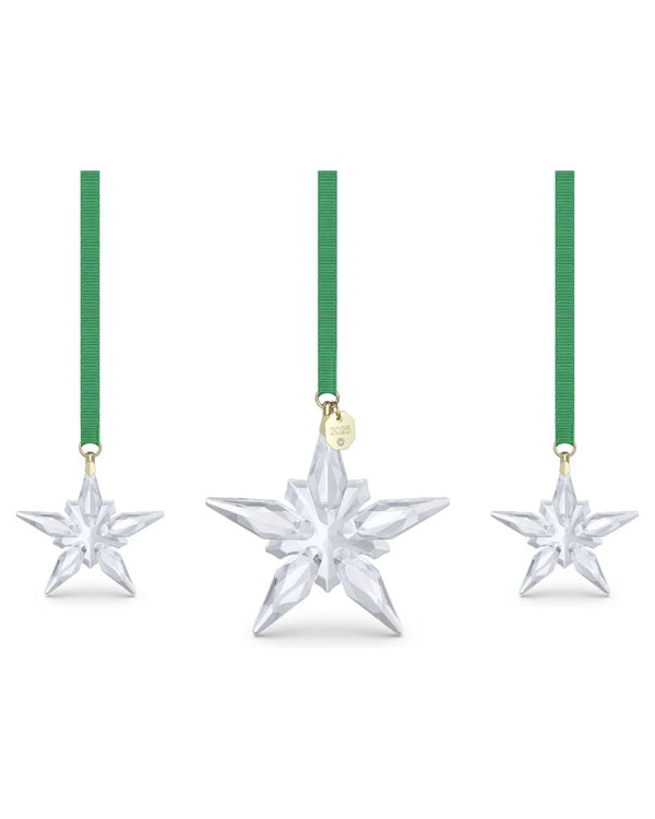 ANNUAL EDITION:ORNAMENT SET 2025 5701854