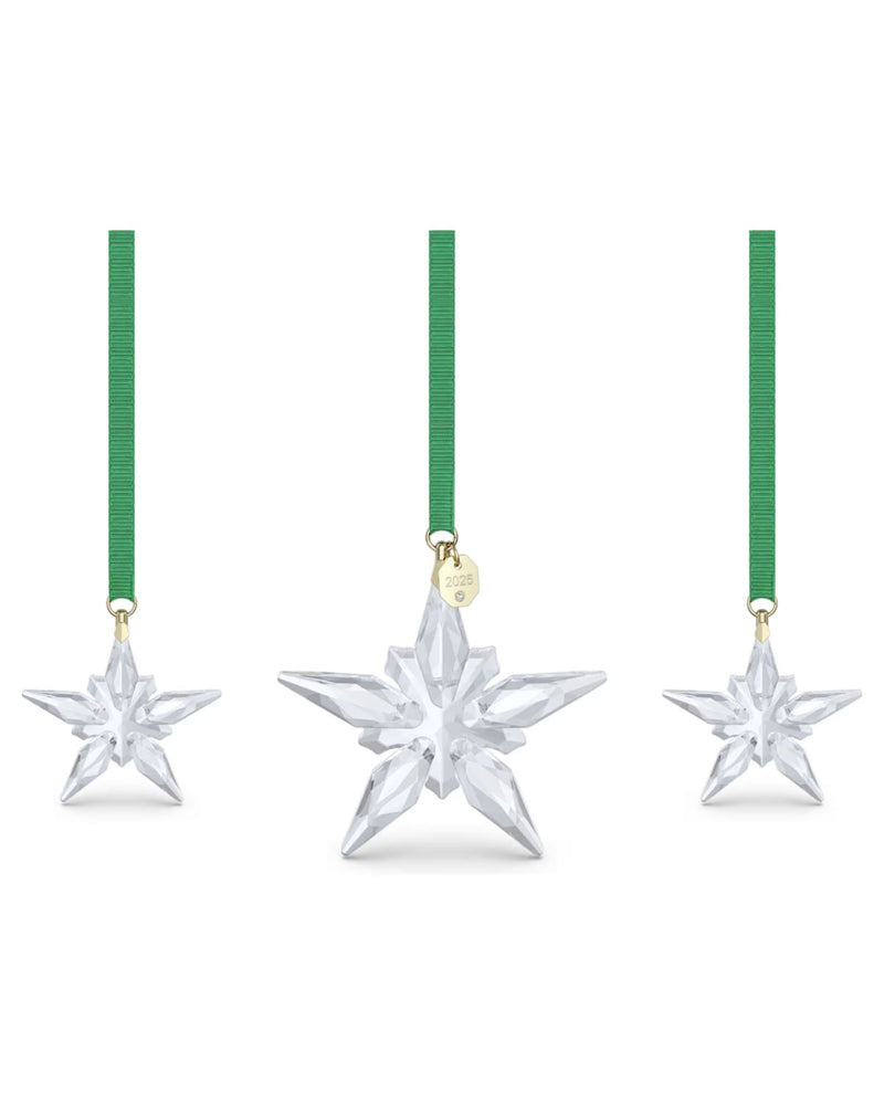 ANNUAL EDITION:ORNAMENT SET 2025 5701854