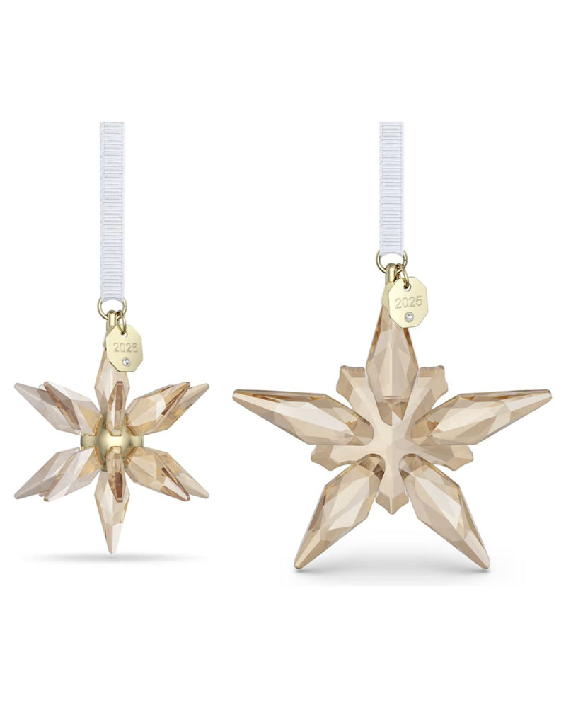 ANNUAL EDITION:ORNAMENT SET FESTIVE3D 25 5701824