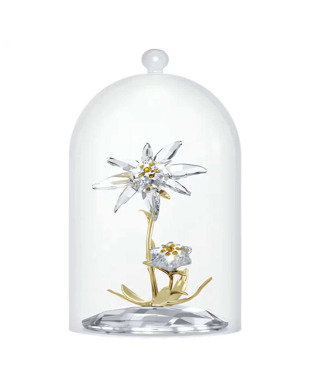 Florere 130th Anniversary Bell Jar 5701376