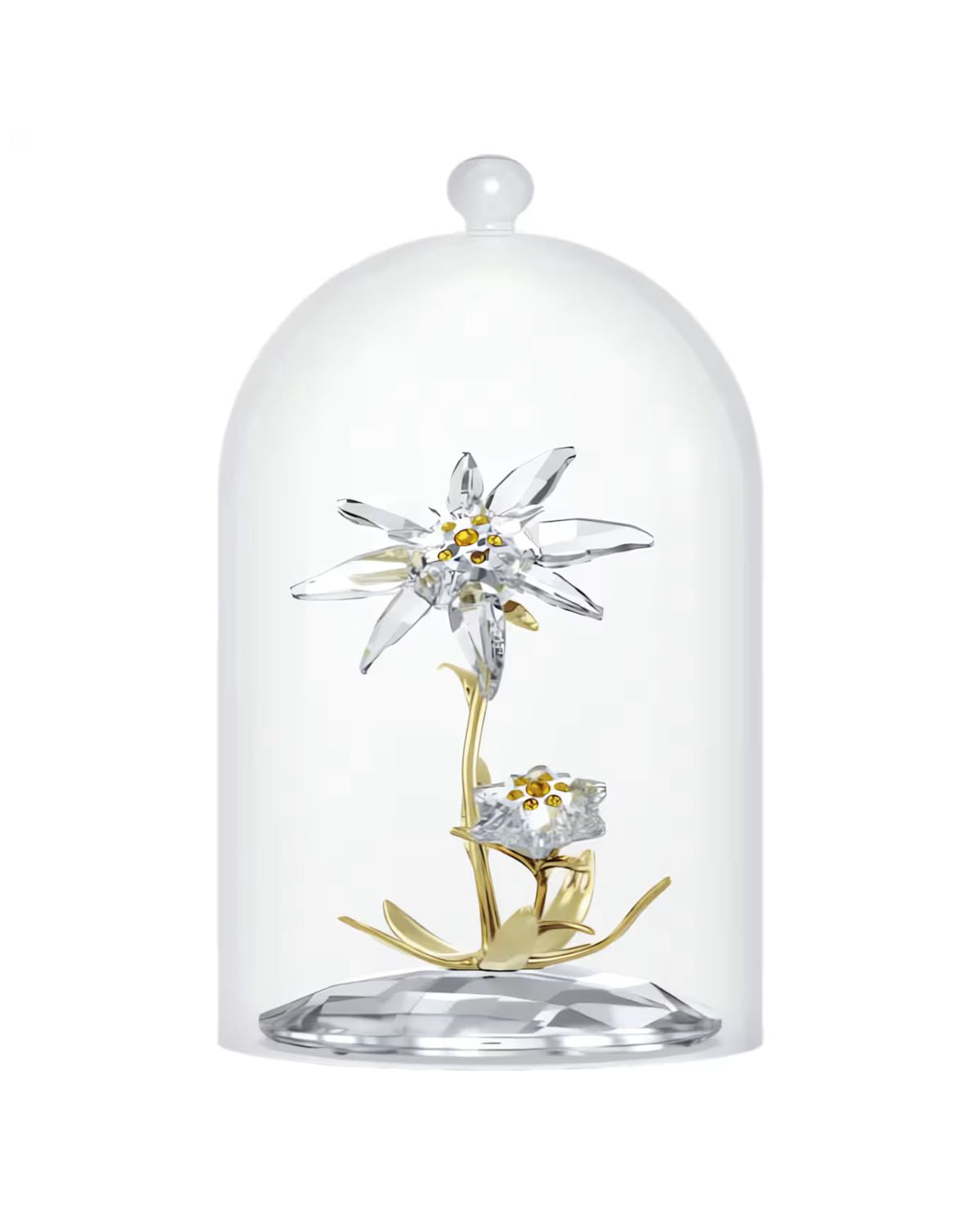 Florere 130th Anniversary Bell Jar 5701376