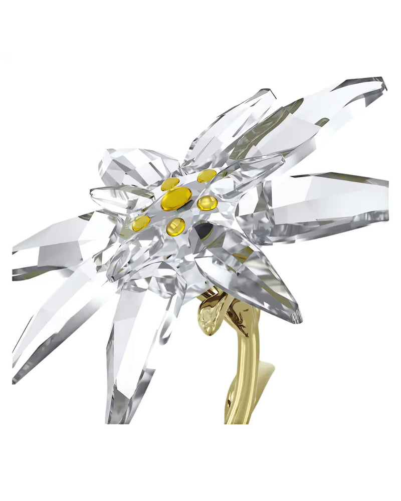 FLORERE:BELL JAR 130TH ANNIVERSARY 5701376