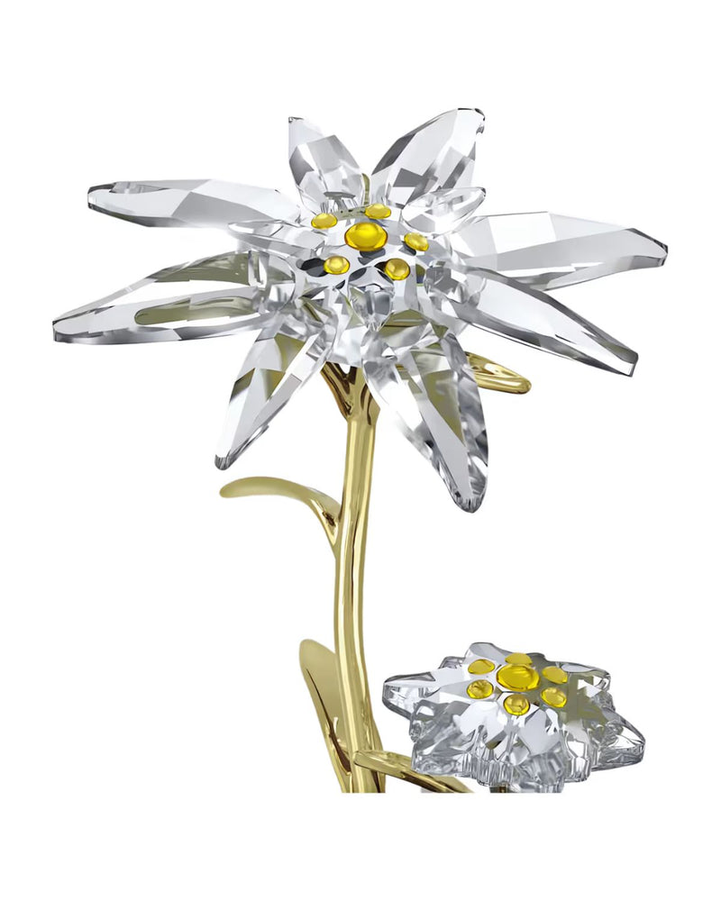 FLORERE:BELL JAR 130TH ANNIVERSARY 5701376