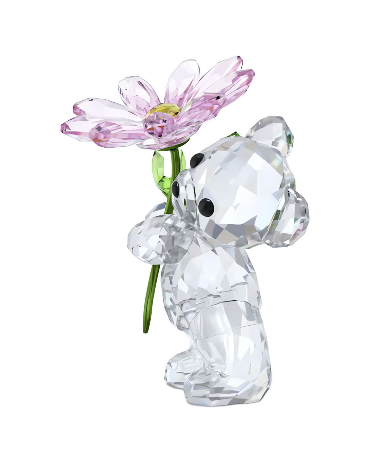 Kris Bear : A Daisy for You 5675327