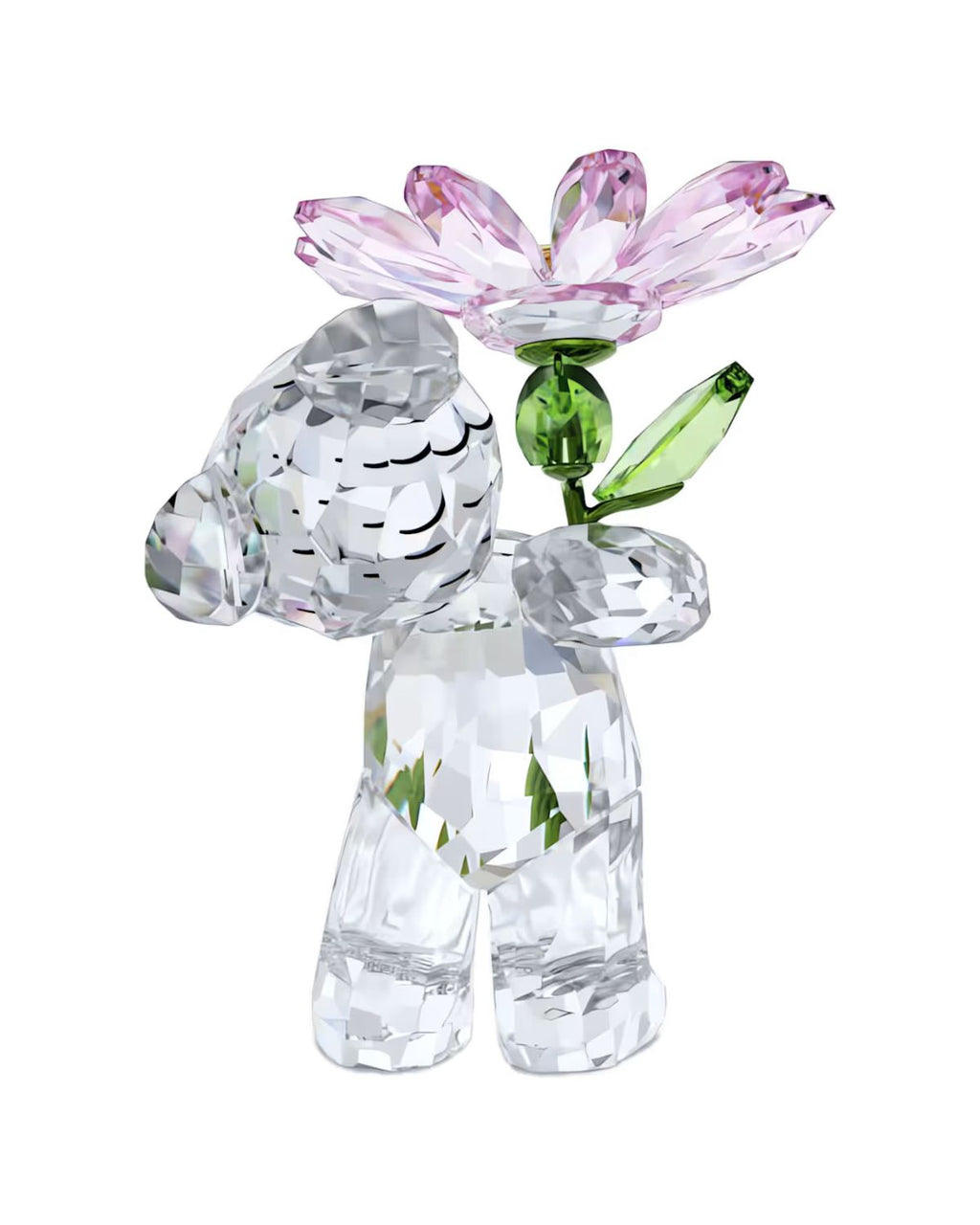 Kris Bear : A Daisy for You 5675327