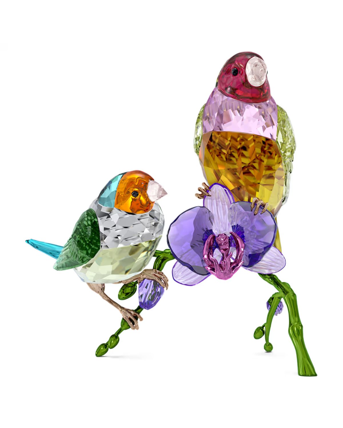Idyllia SCS Annual Edition 2024 Gouldian Finches 5670031