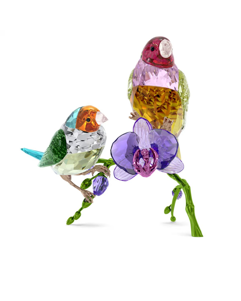 Idyllia SCS Annual Edition 2024 Gouldian Finches 5670031