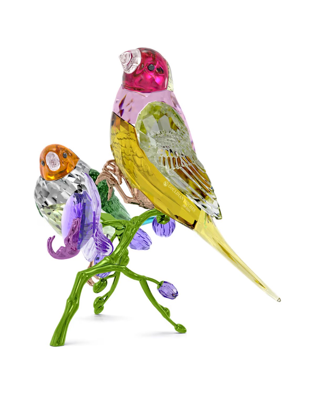 Idyllia SCS Annual Edition 2024 Gouldian Finches 5670031
