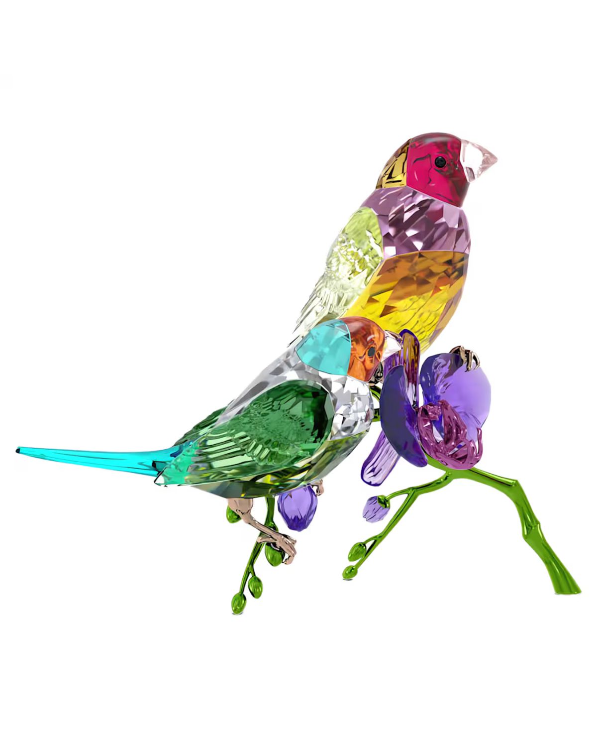 Idyllia SCS Annual Edition 2024 Gouldian Finches 5670031