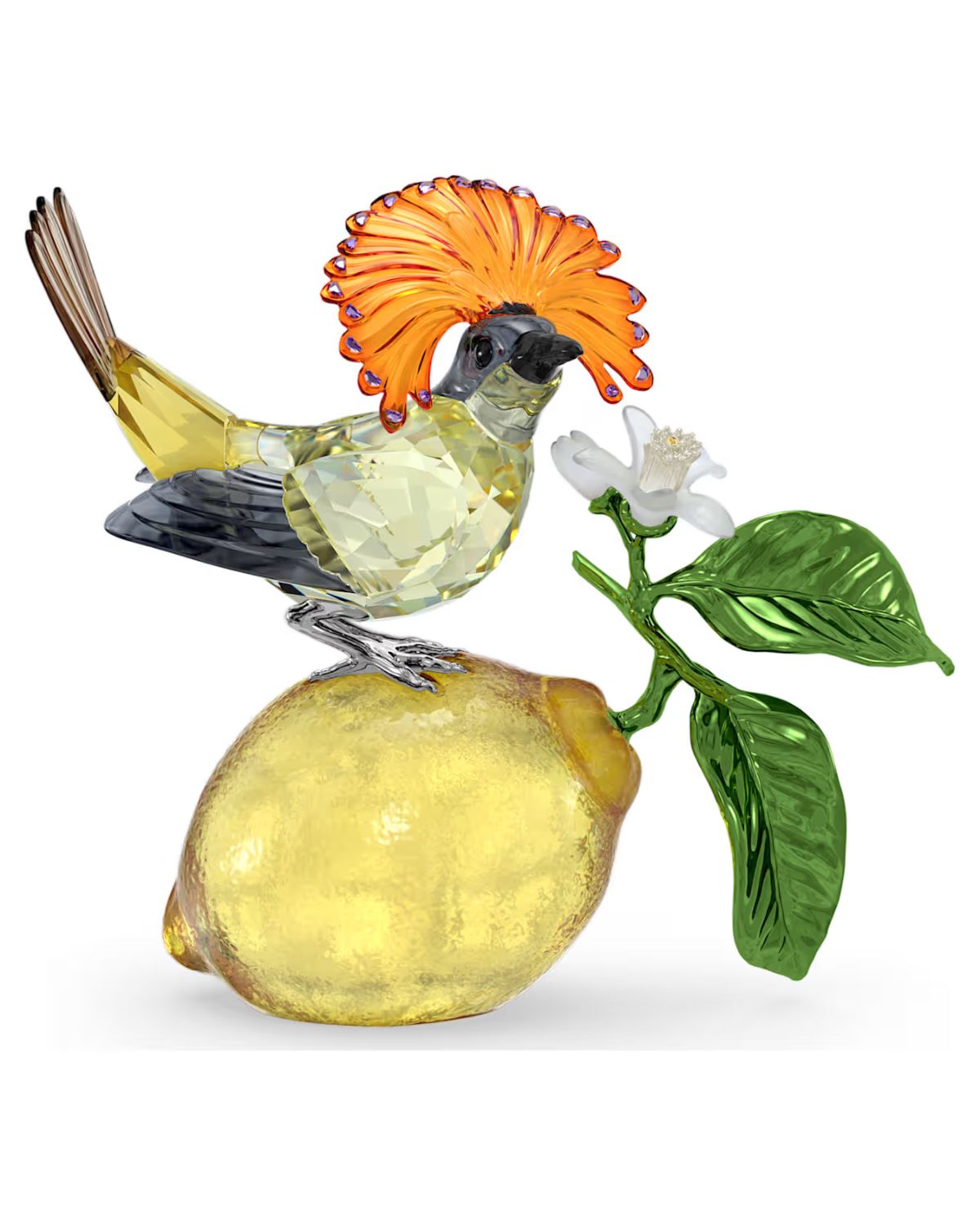 Idyllia Royal Flycatcher 5651811