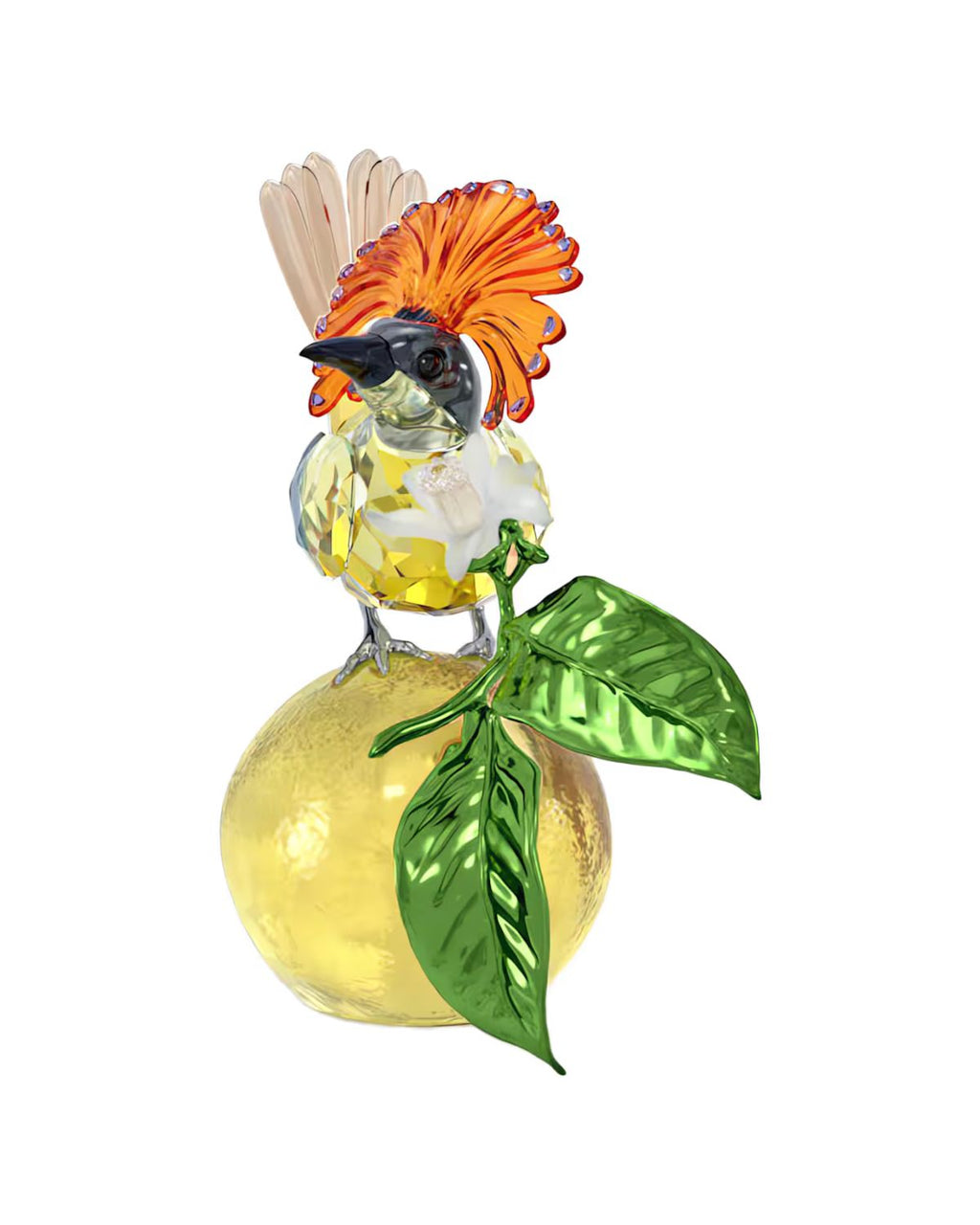 Idyllia Royal Flycatcher 5651811