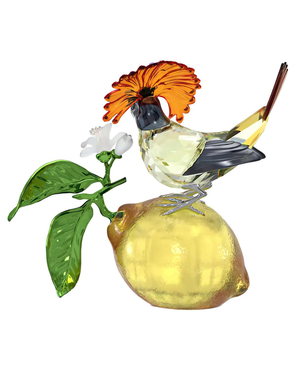Idyllia Royal Flycatcher 5651811