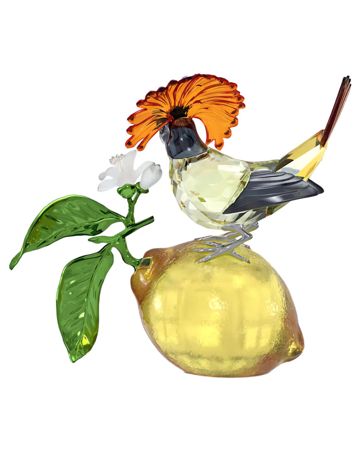 Idyllia Royal Flycatcher 5651811