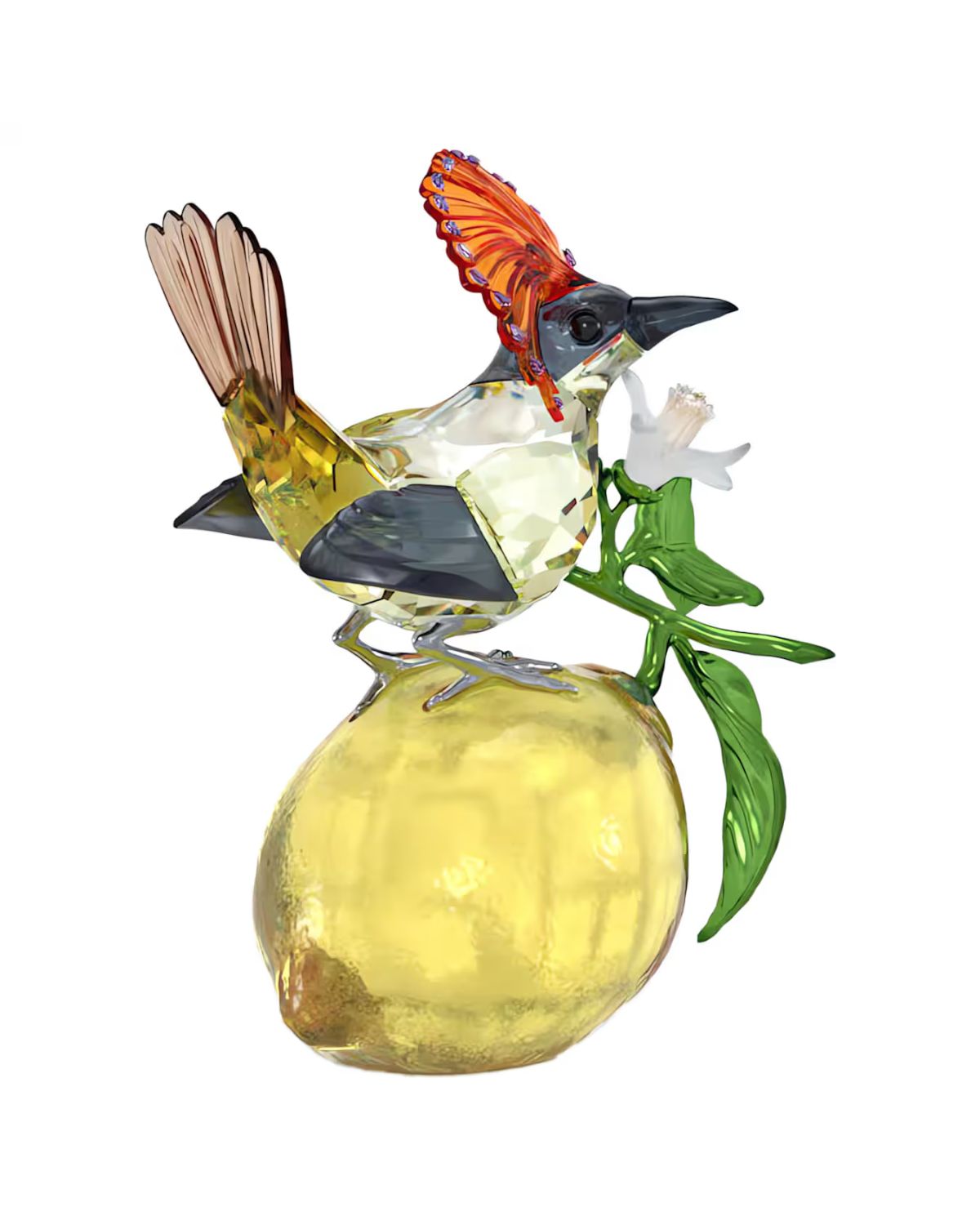 Idyllia Royal Flycatcher 5651811
