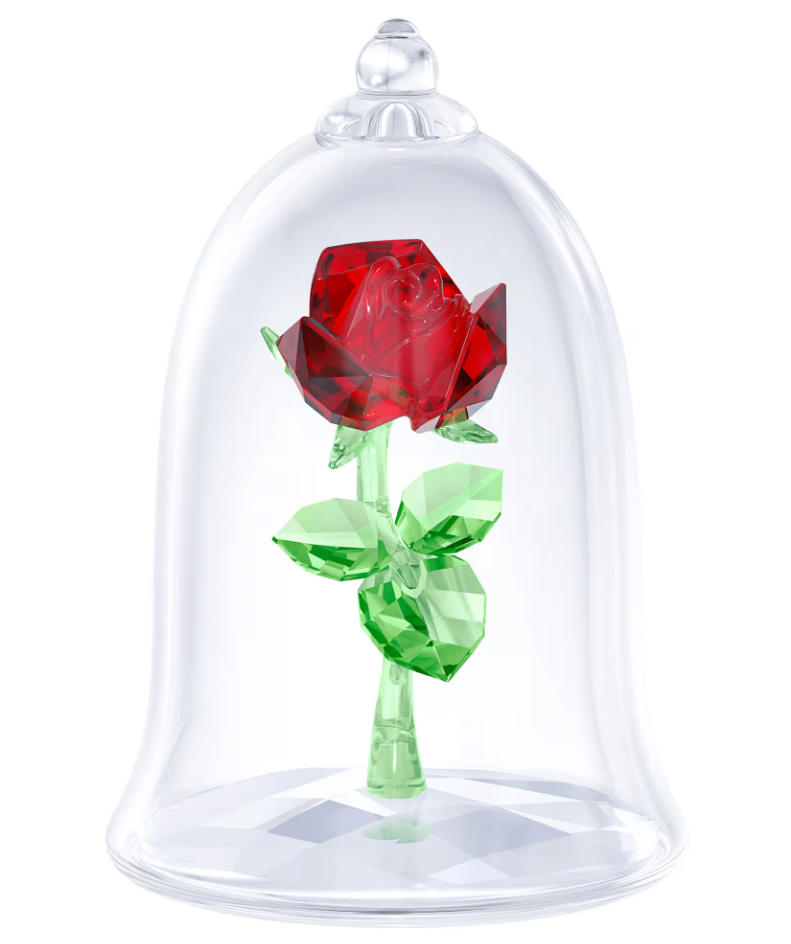 Enchanted Rose