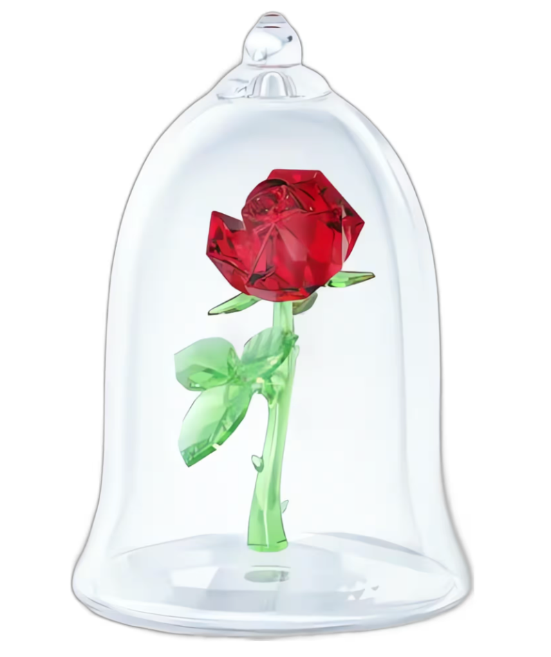 Enchanted Rose