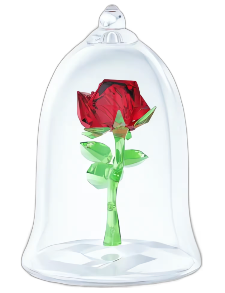 Enchanted Rose