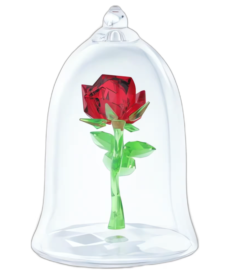 Enchanted Rose