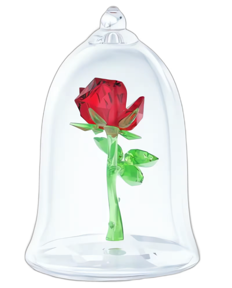 Enchanted Rose
