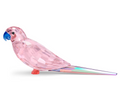 Jungle Beats Pink Parakeet Cha Cha 5557848