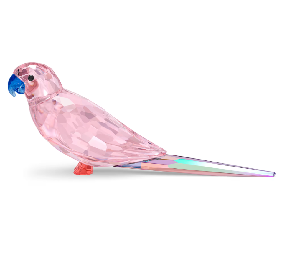 Jungle Beats Pink Parakeet Cha Cha 5557848