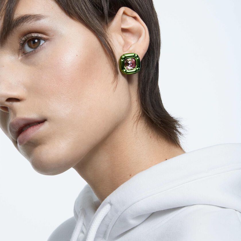Dulcis Stud Earrings 5600778