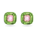 Dulcis Stud Earrings 5600778