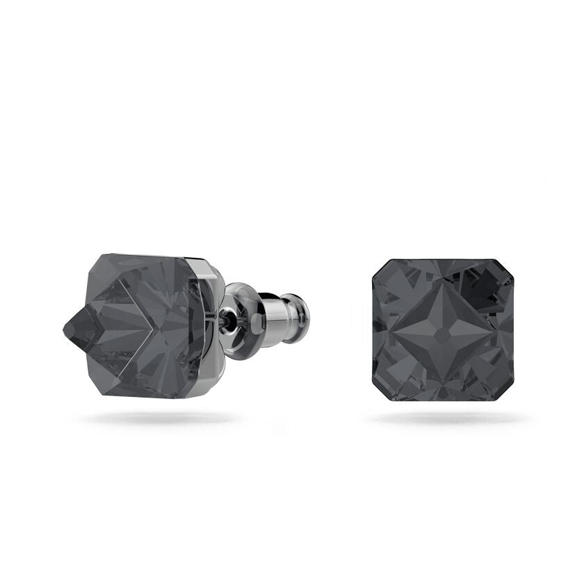 Ortyx Stud Earrings 5613723