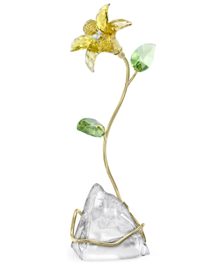 Florere Lily