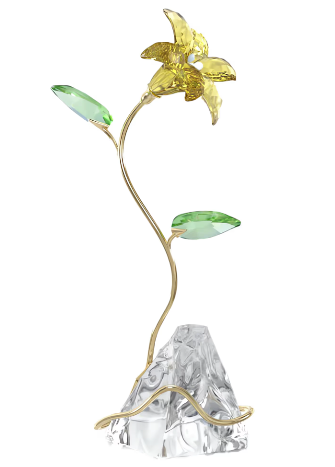 Florere Lily