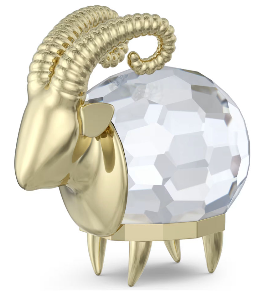 Zodiac Capricorn 5678078