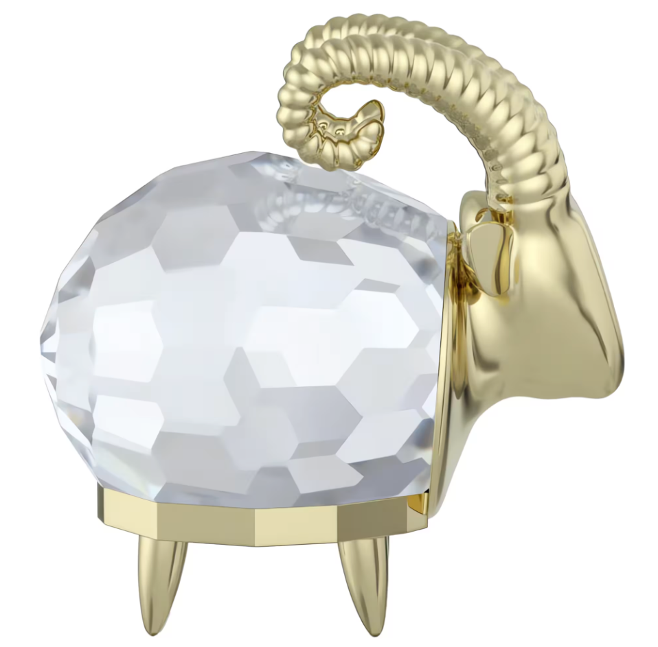 Zodiac Capricorn 5678078