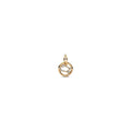 Gemini Zodiac Dangle Charm 762711C01 (High Resolution)