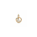 Aquarius Zodiac Dangle Charm 762717C01 (High Resolution)