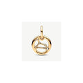 Leo Zodiac Dangle Charm 762725C01 (High Resolution)