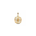 Project House spinning Astrolabe 14k gold-plated dangle with honey coloured crystal and clear cubic zirconia 762971C01 (High Resolution)