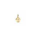 Key hole engravable locket 14k gold-plated dangle with clear cubic zirconia 763066C01 (High Resolution)