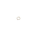 14k Gold-plated dangle Feburary| 763462C02 (High Resolution)