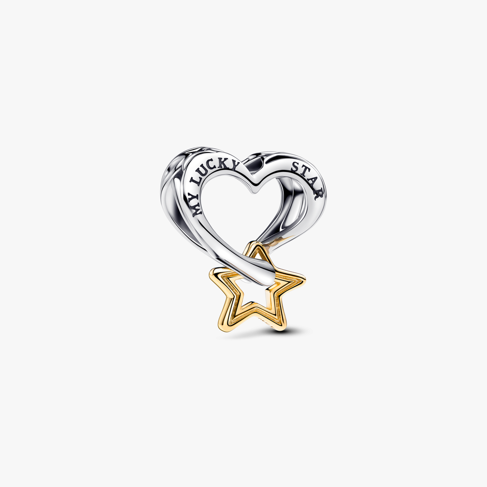 Heart and star sterling silver and 14k g 763513C00 (High Resolution)