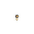 764326c01  Disney Tiana Sterling silver and 14k plated (High Resolution)